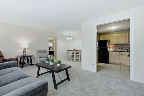 222 Washington BLVD #105, Oak Park, IL 60302