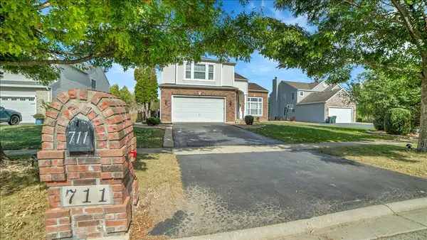 711 Blossom CT, Oswego, IL 60543