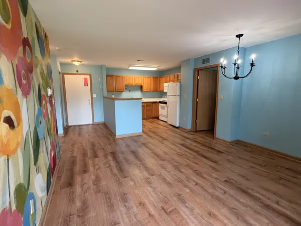 801 N McLean BLVD #308, Elgin, IL 60123