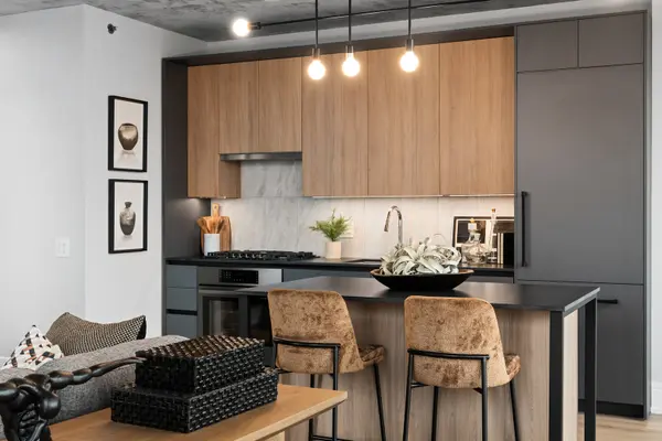 234 W Polk ST #2509, Chicago, IL 60607