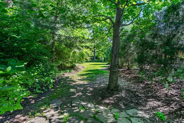 15641 W Stately Oaks DR, Homer Glen, IL 60491