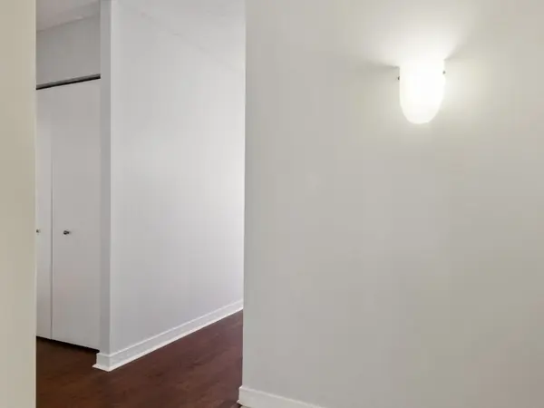 512 N MCCLURG CT #1509, Chicago, IL 60611