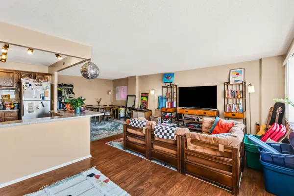 801 S PLYMOUTH CT #504, Chicago, IL 60605