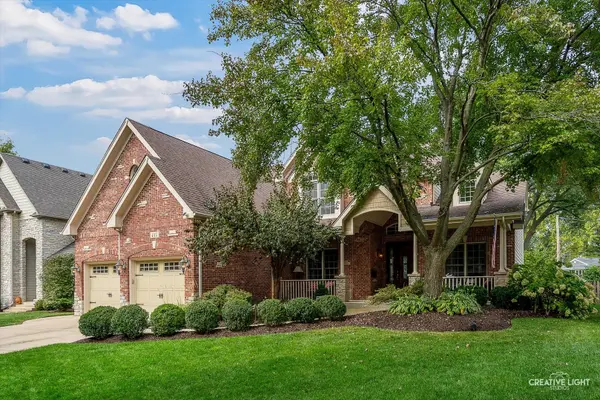 445 Buckeye DR, Naperville, IL 60540