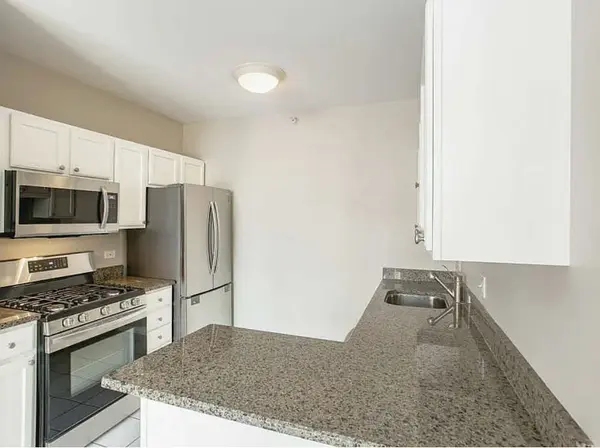 600 N DEARBORN ST #1207, Chicago, IL 60654