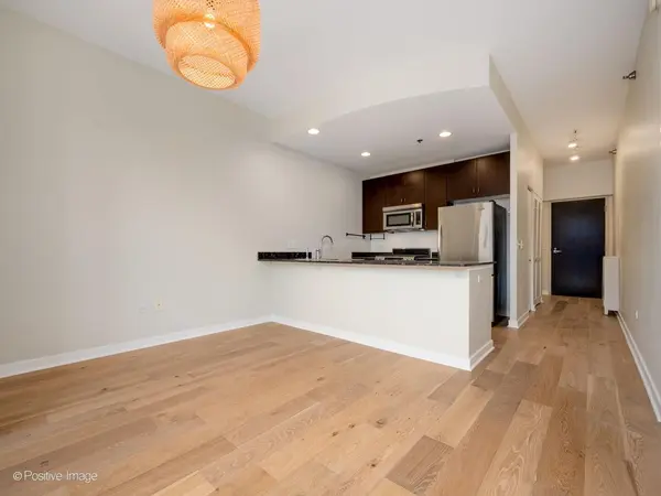 303 W Ohio ST #1404, Chicago, IL 60654