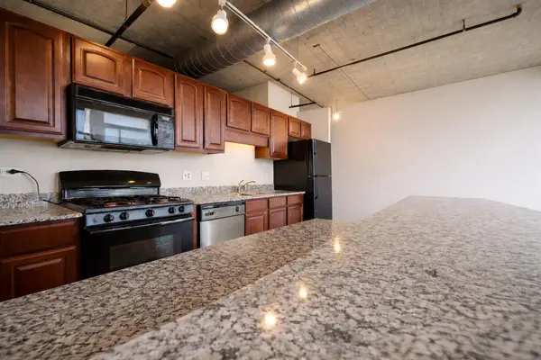 1550 S Blue Island AVE #721, Chicago, IL 60608