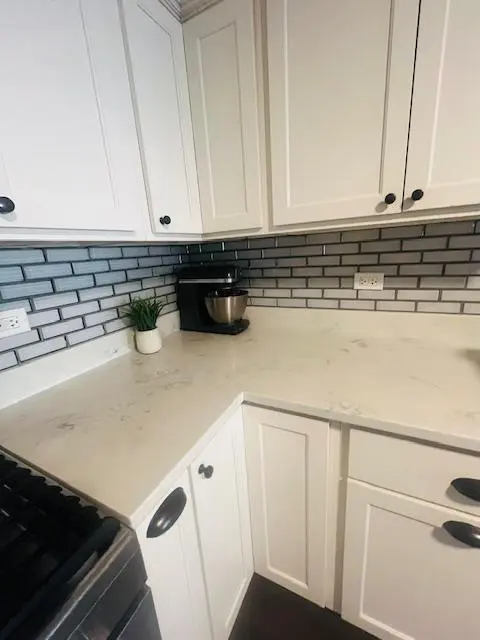 3303 Grove AVE #306, Berwyn, IL 60402
