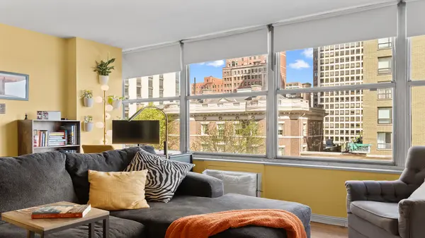 1000 N Lake Shore DR #404, Chicago, IL 60611