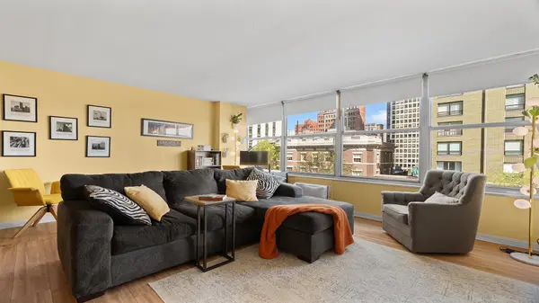 1000 N Lake Shore DR #404, Chicago, IL 60611