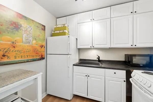 336 W Wellington ST #703, Chicago, IL 60657