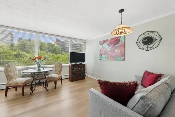 336 W Wellington ST #703, Chicago, IL 60657