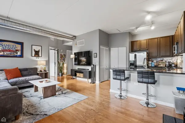 873 N Larrabee ST #409, Chicago, IL 60610