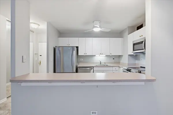 33 E Cedar ST #5B, Chicago, IL 60611