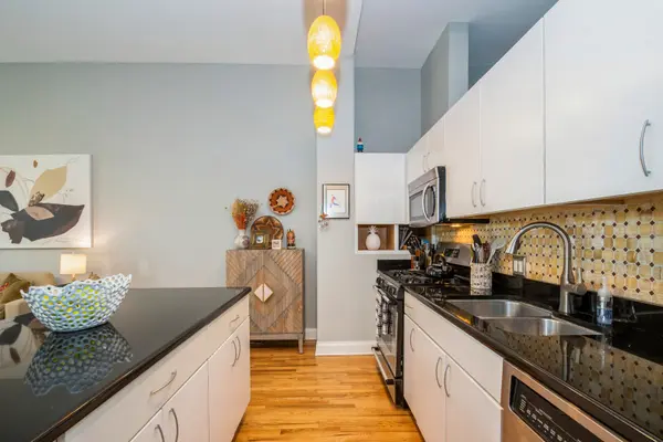 1635 W Belmont AVE #320, Chicago, IL 60657