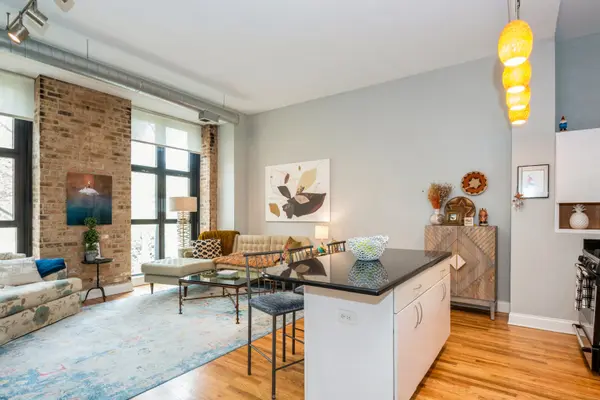 1635 W Belmont AVE #320, Chicago, IL 60657