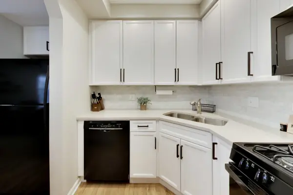 1636 W Melrose ST #303, Chicago, IL 60657