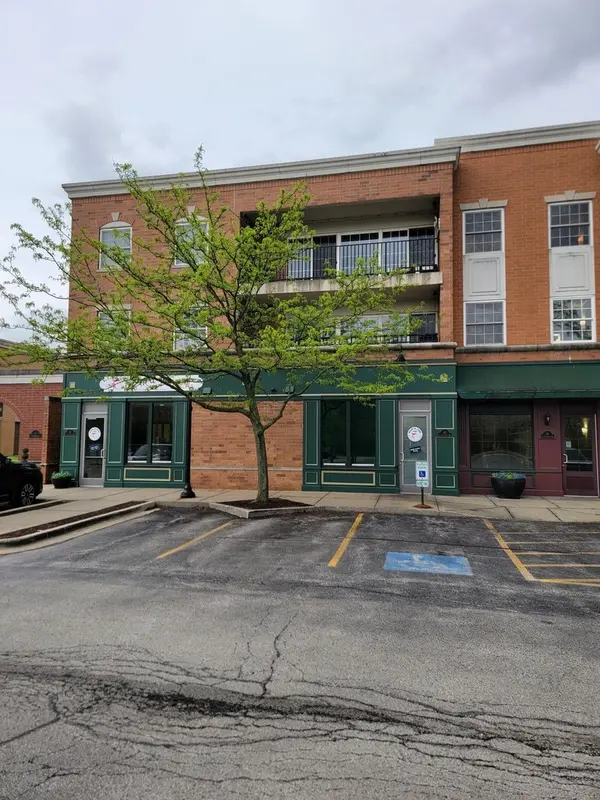 49 Old Frankfort WAY #210, Frankfort, IL 60423