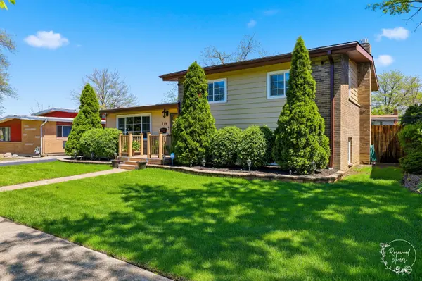 319 N Bradley DR, Chicago Heights, IL 60411