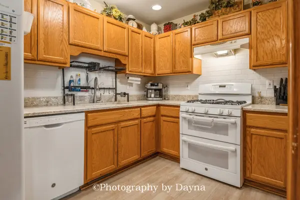 226 Harbor LNDG, Braidwood, IL 60408