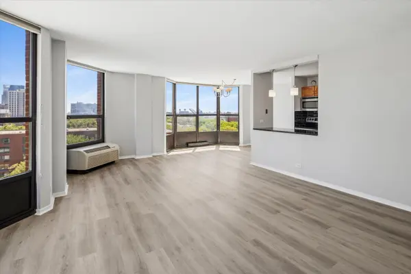 901 S Plymouth CT #702, Chicago, IL 60605