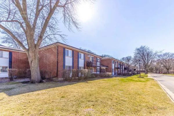 2407 E Brandenberry CT #2K, Arlington Heights, IL 60004
