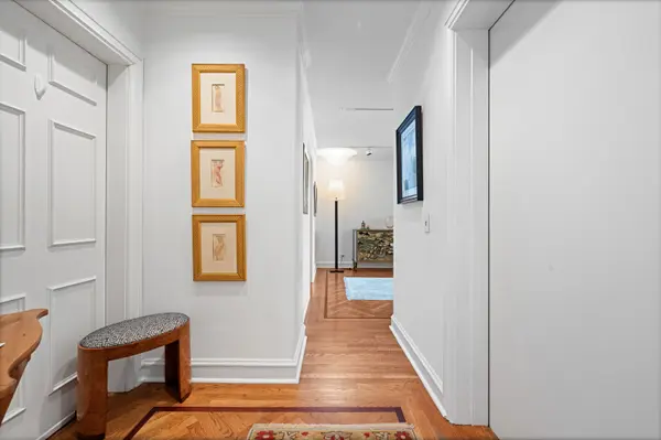 219 E Lake Shore DR #6AB, Chicago, IL 60611