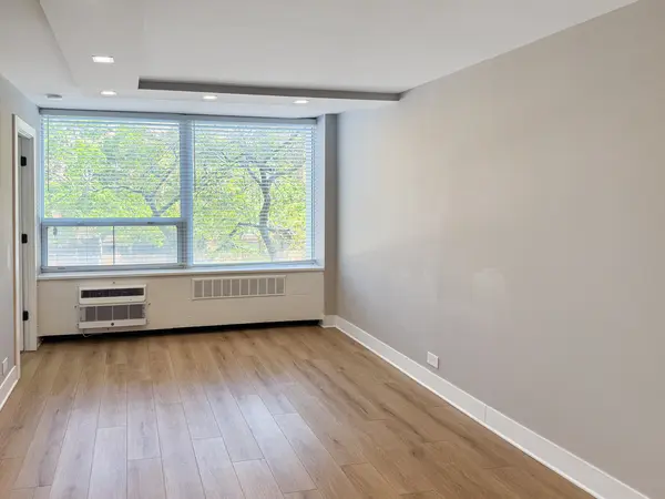 1355 N Sandburg TER #206D, Chicago, IL 60610