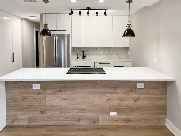 1355 N Sandburg TER #206D, Chicago, IL 60610