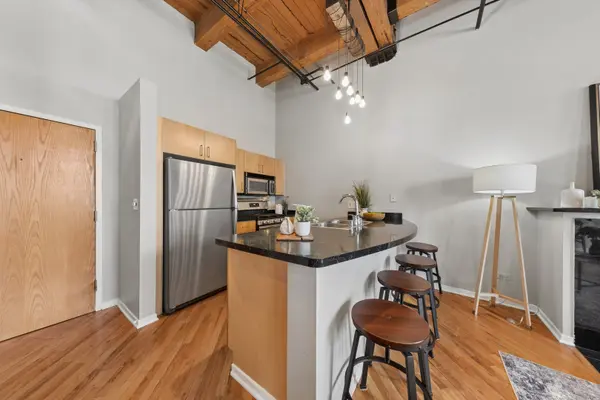 1243 S WABASH AVE #503, Chicago, IL 60605