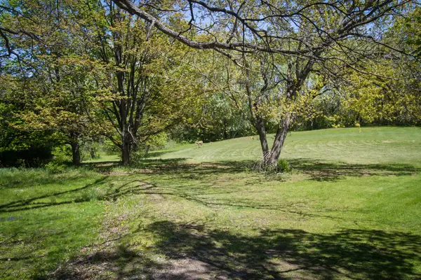 4317 Willowbrook RD, Long Grove, IL 60047