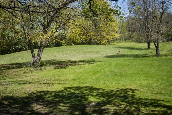 4317 Willowbrook RD, Long Grove, IL 60047