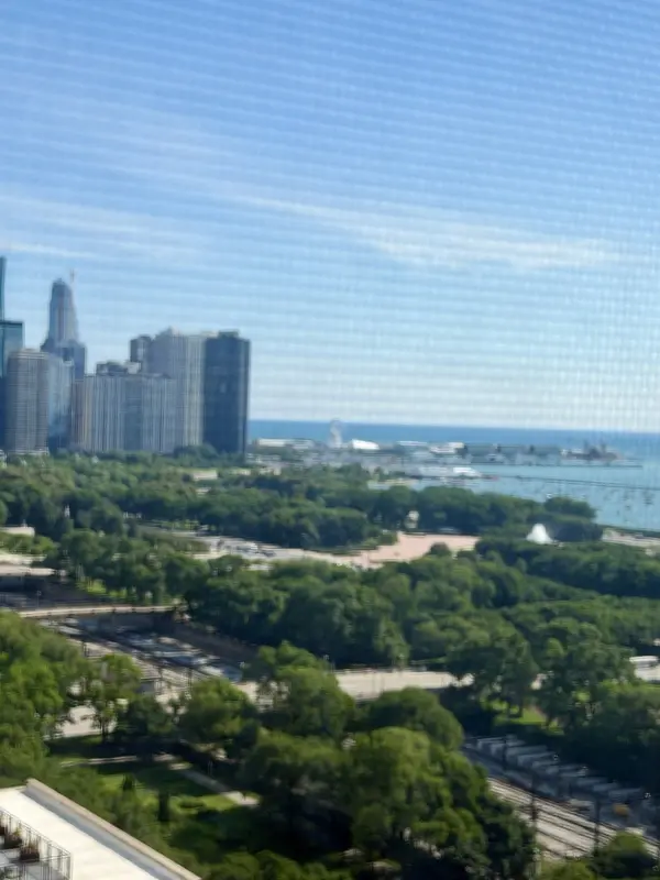 910 S Michigan AVE #1705, Chicago, IL 60605