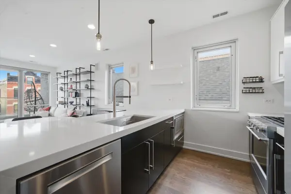 1335 N Bosworth AVE #2N, Chicago, IL 60642