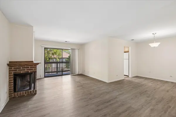 826 Thornton CT #2AL, Schaumburg, IL 60193