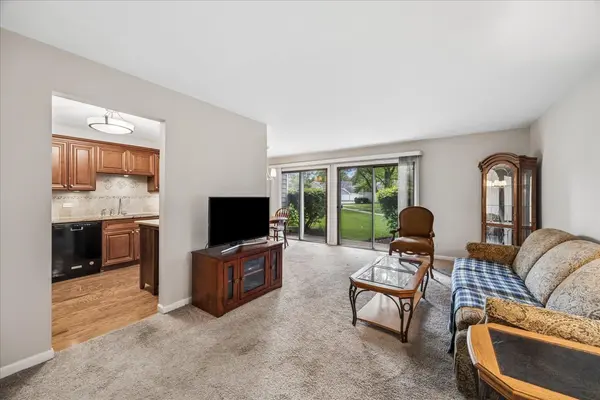 349 Newgate CT #C1, Schaumburg, IL 60193