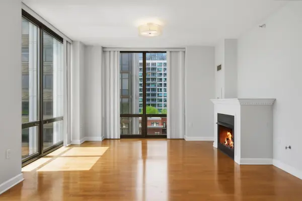 233 E 13TH ST #709, Chicago, IL 60605