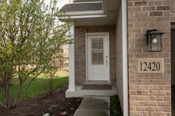 12420 Lacey DR, Lemont, IL 60439