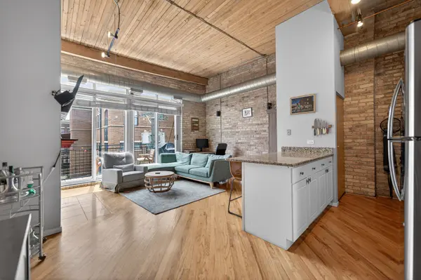2333 W Saint Paul AVE #300, Chicago, IL 60647