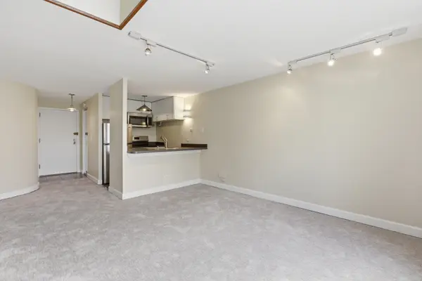 1221 N Dearborn ST #602N, Chicago, IL 60610