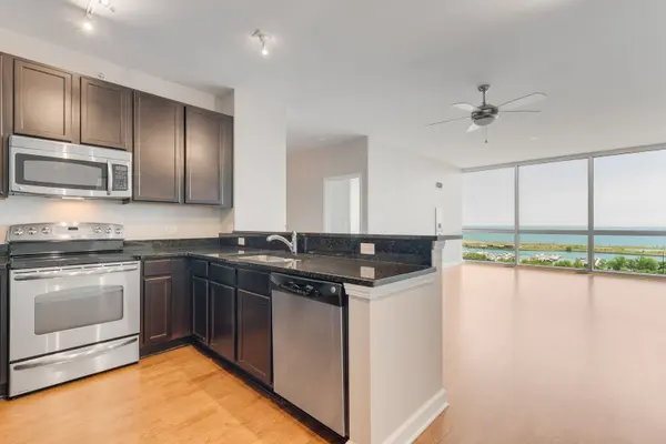 1901 S Calumet AVE #1703, Chicago, IL 60616