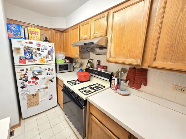 2604 S Emerald AVE #C, Chicago, IL 60616