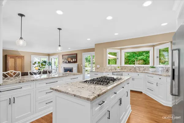 2124 University DR, Naperville, IL 60565