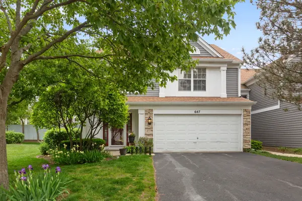 647 N Charter Hall DR, Palatine, IL 60067