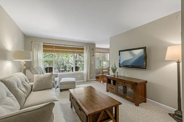 928 N VILLAGE DR #2, Round Lake Beach, IL 60073