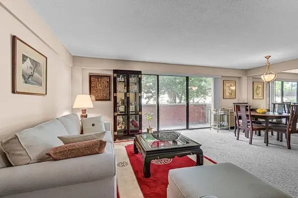 1169 S Plymouth CT #115, Chicago, IL 60605