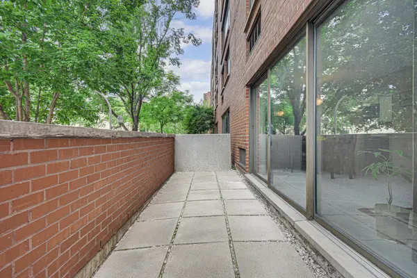 1169 S Plymouth CT #115, Chicago, IL 60605