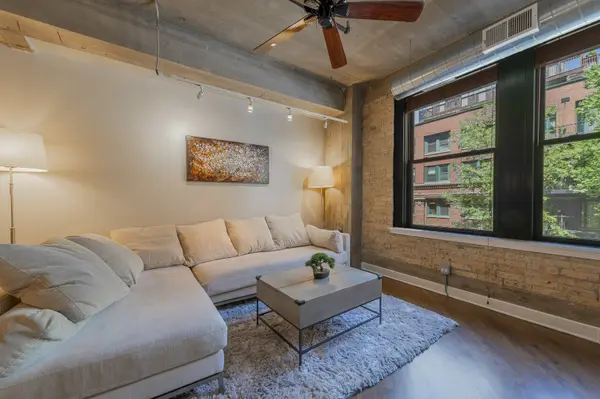 411 W Ontario ST #220, Chicago, IL 60654