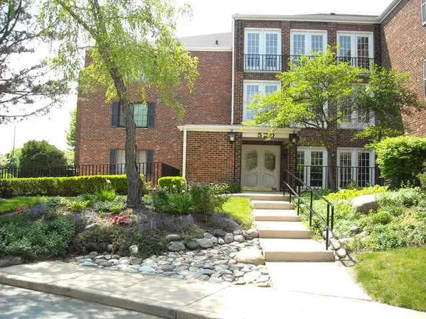 520 Biesterfield RD #E309,  Elk Grove Village,  IL 60007