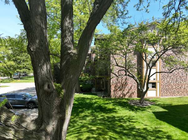 811 S Dwyer AVE #E, Arlington Heights, IL 60005
